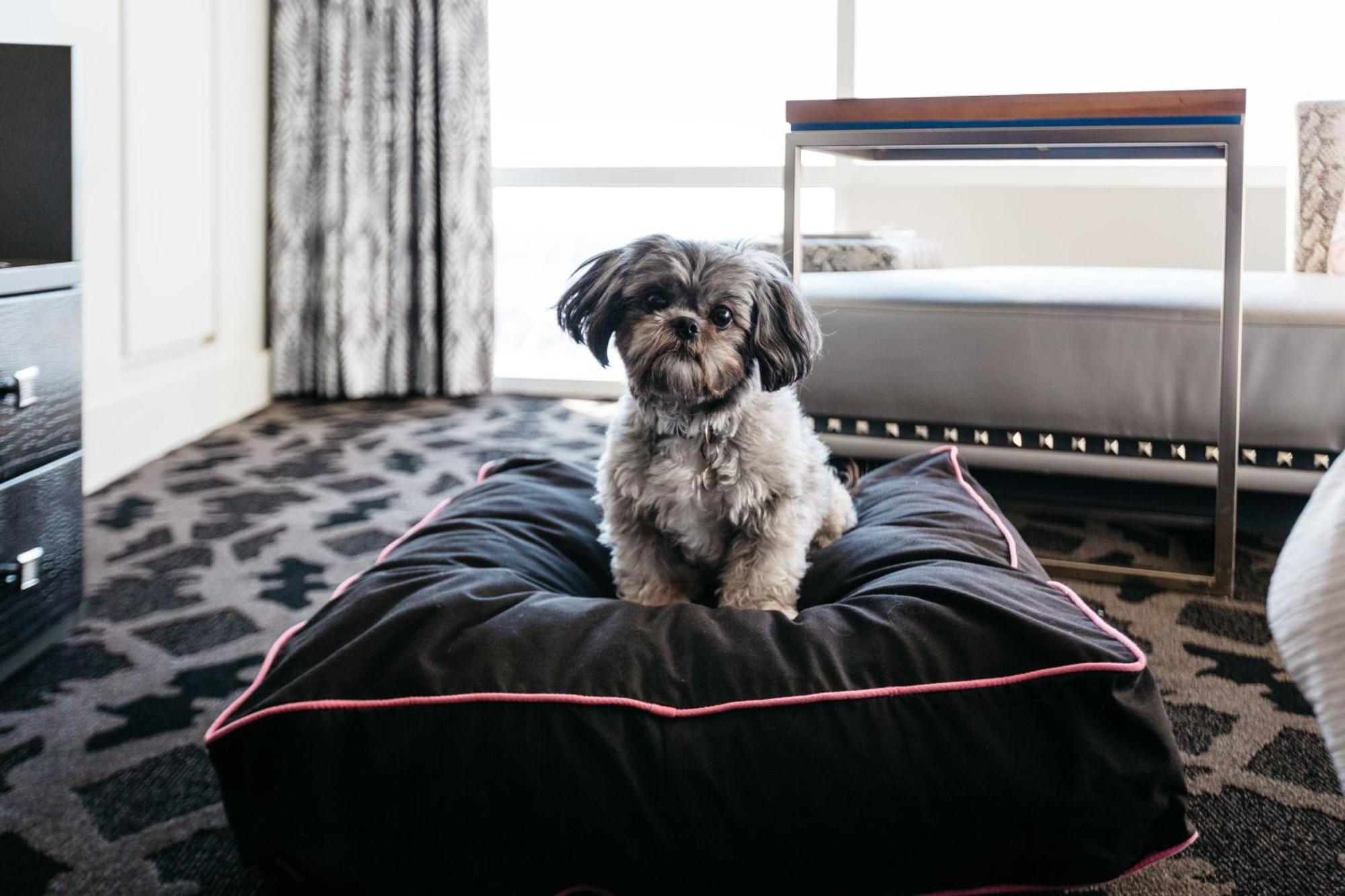 W Hotel Dallas